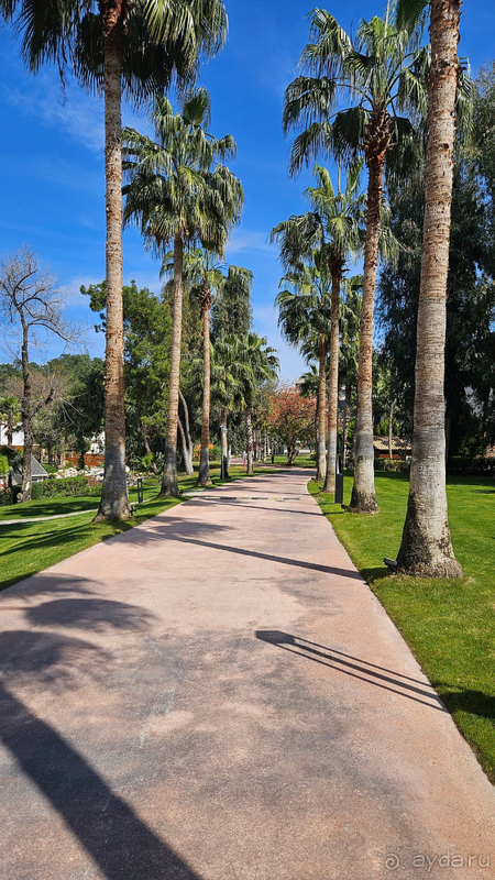 Шикарный отель с огромной территорией