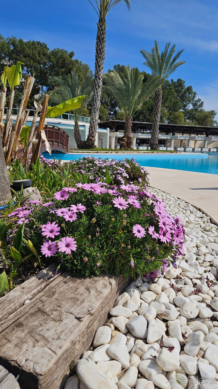 Шикарный отель с огромной территорией