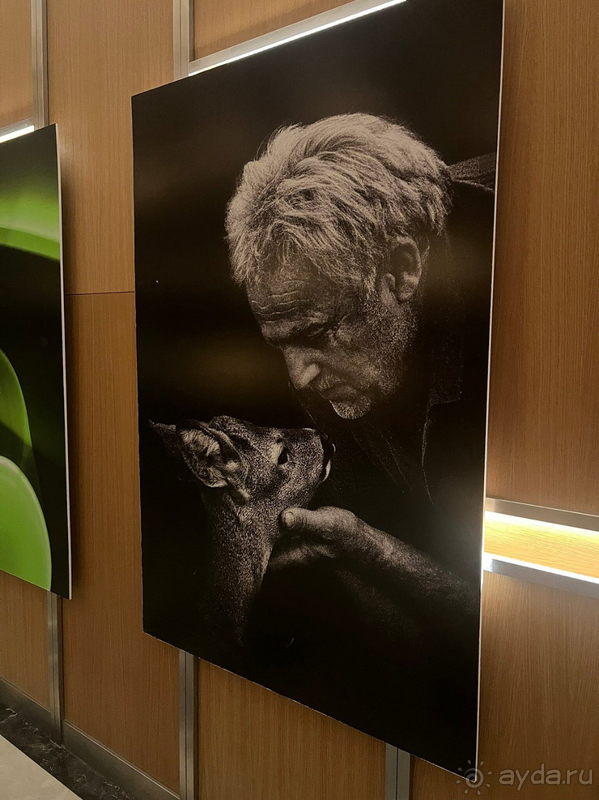 Комфортный и продуманный отдых с Regnum carya