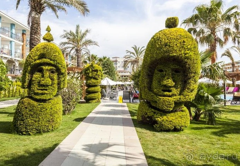 Отель со своими плюсами и минусами