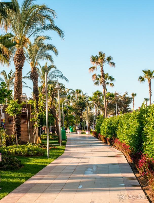 Отель со своими плюсами и минусами