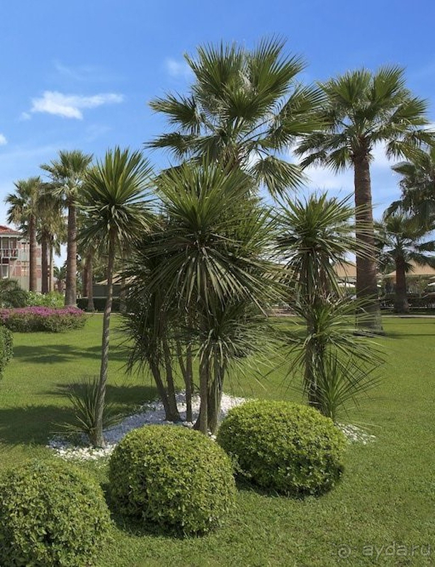 Комфортный отдыох с ребенком в отеле Мега Сарай