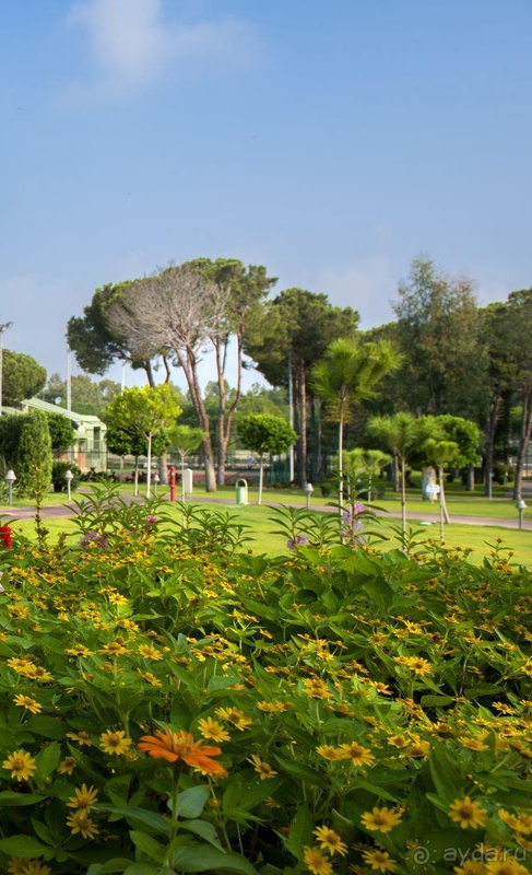 Комфортный отдыох с ребенком в отеле Мега Сарай