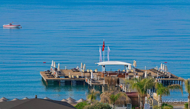 Эла Экселенс точно не Экселенс и не 5*