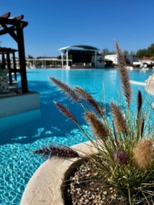 Эла Экселенс точно не Экселенс и не 5*