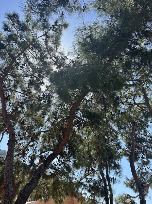 Очень интересный отель, но с серьезной спецификой