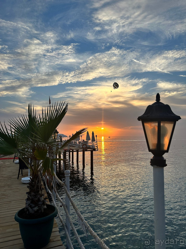 Dephnin Deluxe в конце сезона