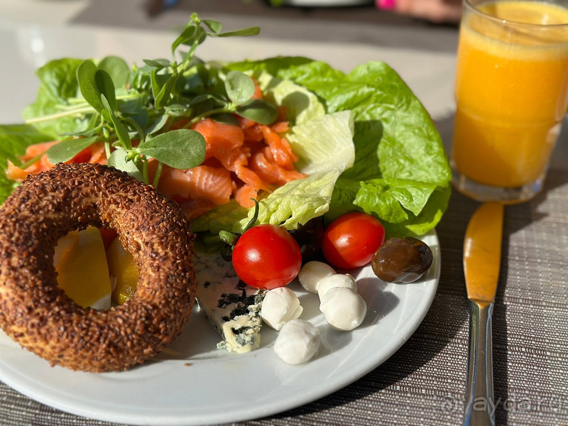 Dephnin Deluxe в конце сезона