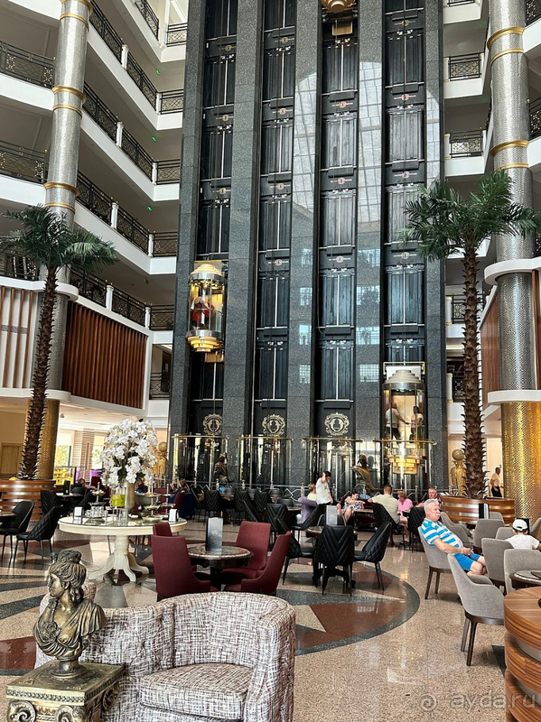 Dephnin Deluxe в конце сезона