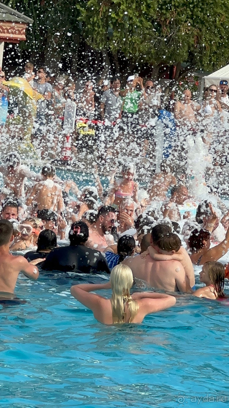 Dephnin Deluxe в конце сезона