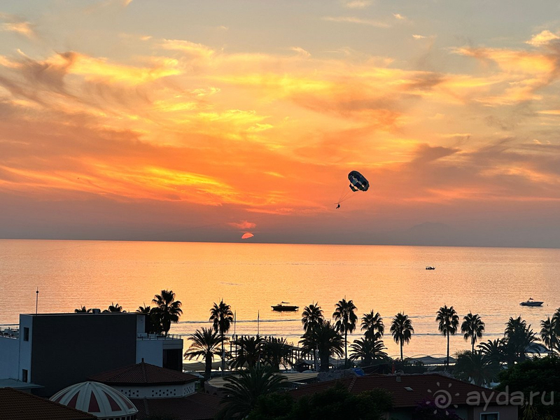 Dephnin Deluxe в конце сезона