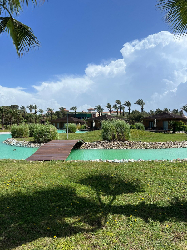 Ожидания совпали с реальностью😻