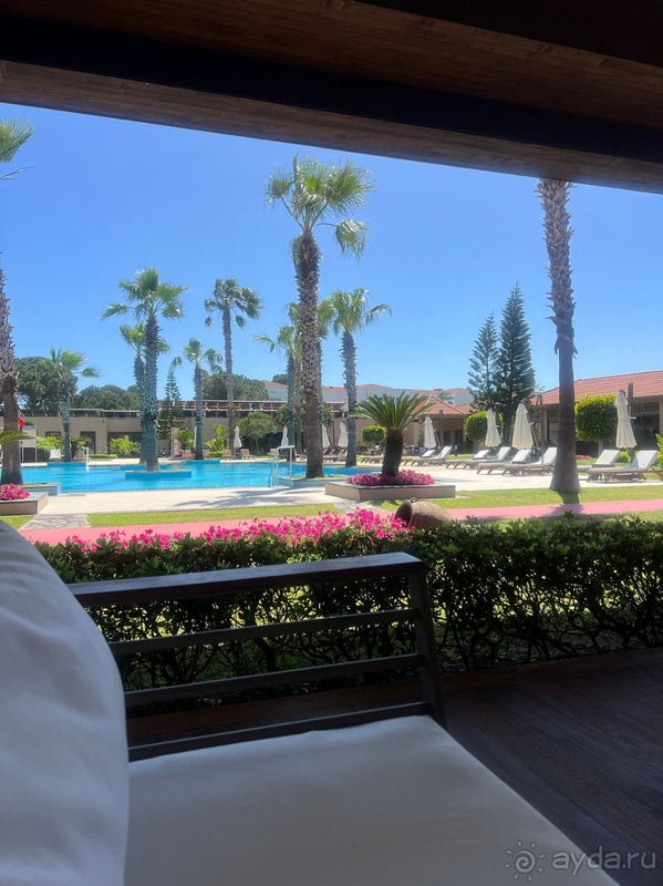 Ожидания совпали с реальностью😻