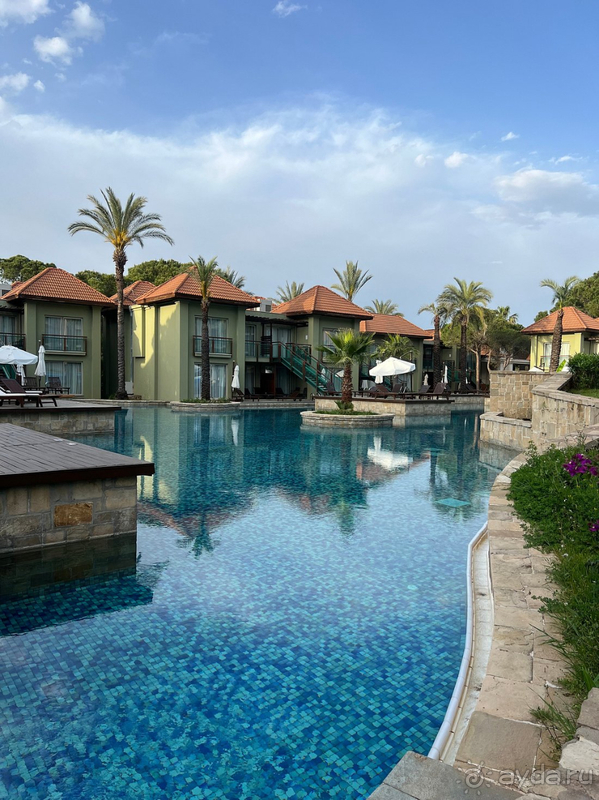 Ожидания совпали с реальностью😻