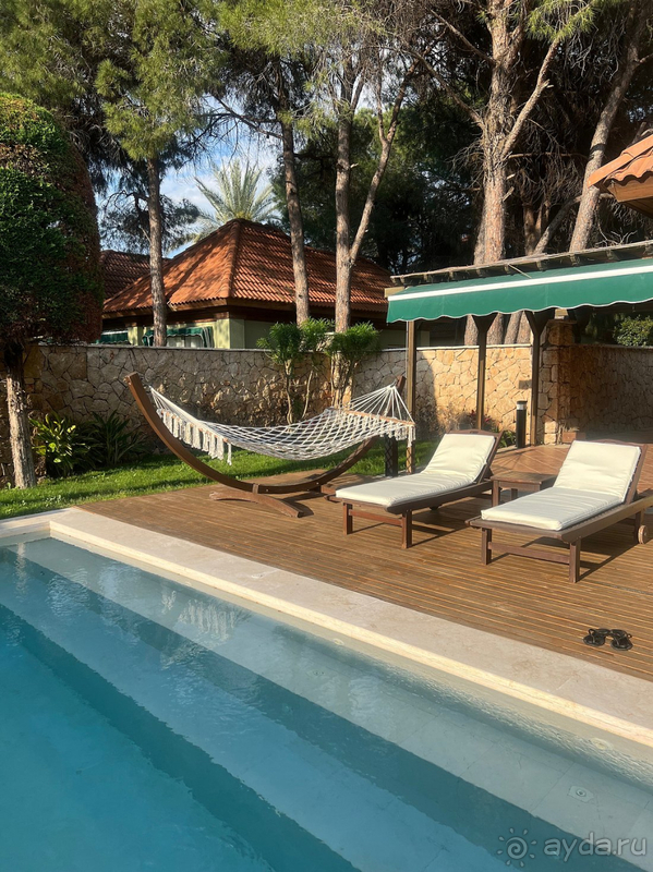 Ожидания совпали с реальностью😻