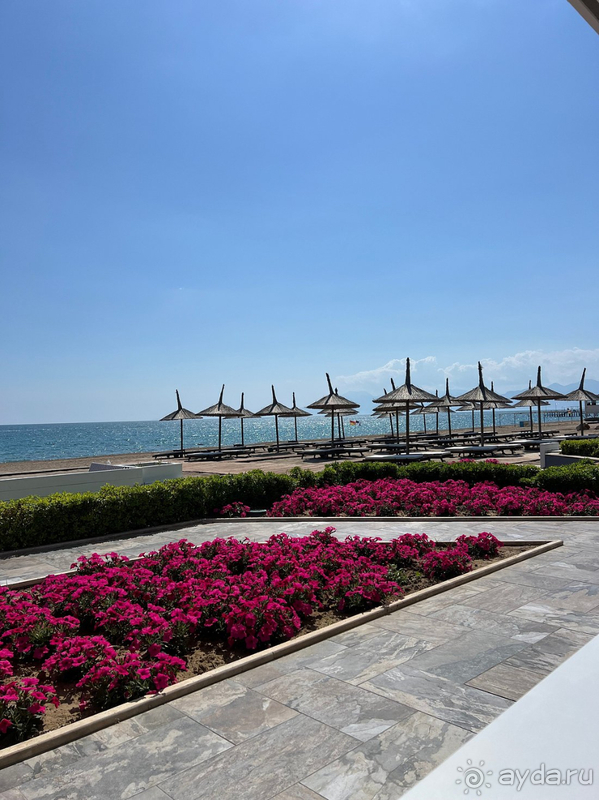 Ожидания совпали с реальностью😻