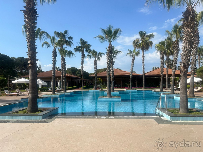 Ожидания совпали с реальностью😻