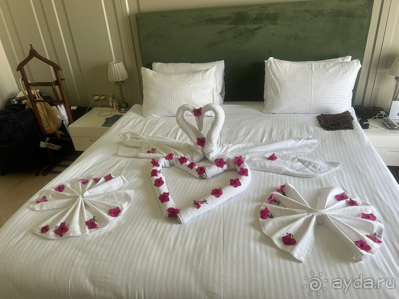 Ожидания совпали с реальностью😻