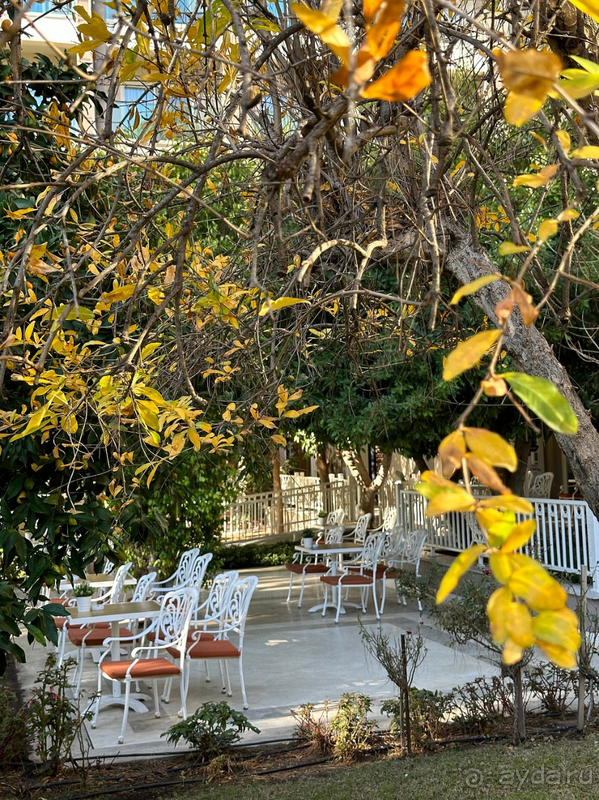 Отдых с годовалым малышом на Новый год