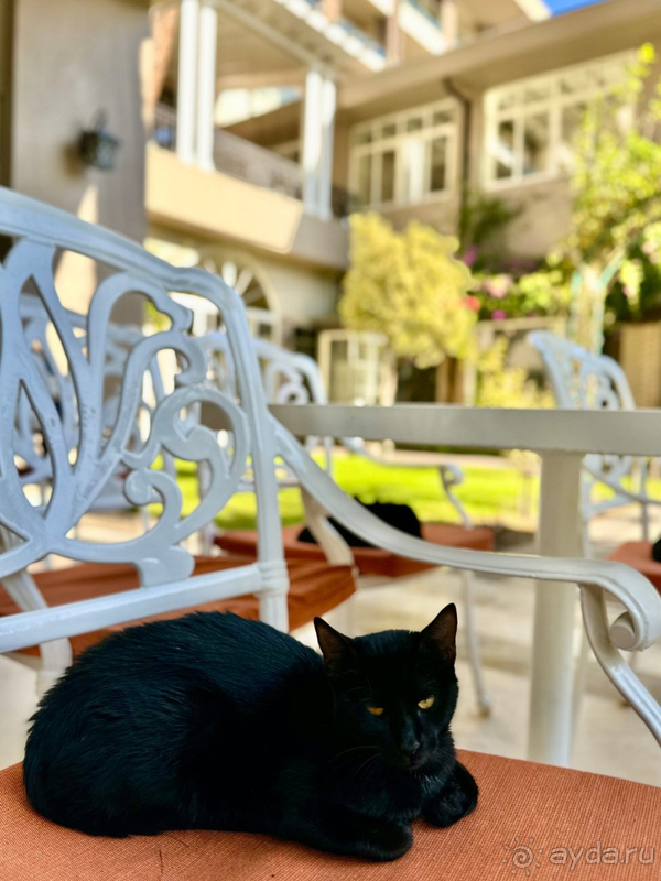 Отдых с годовалым малышом на Новый год