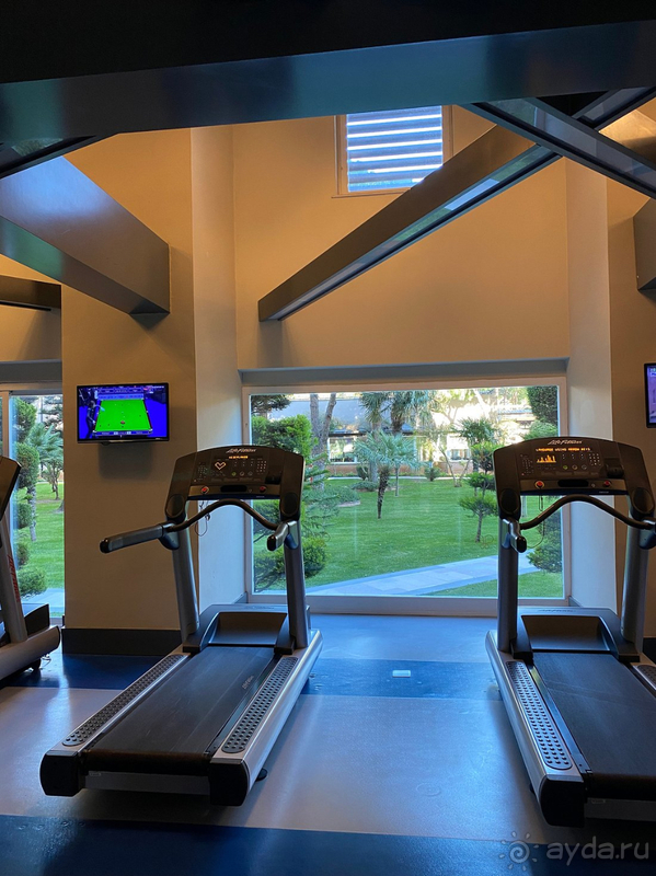 С любовью о Papillon Ayscha❤️