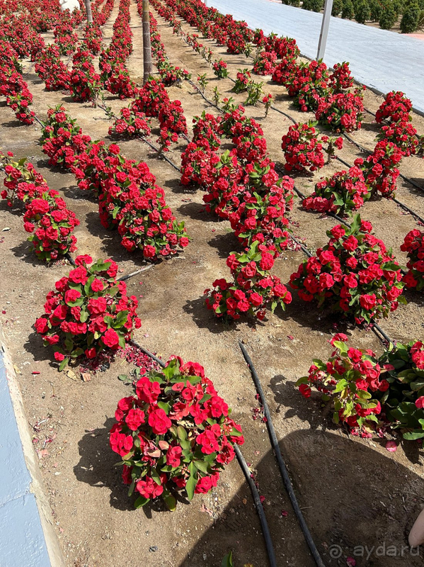 6 дней тепла и релакса у моря