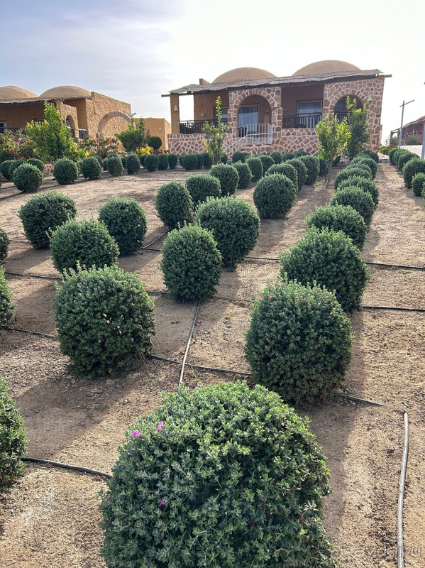 6 дней тепла и релакса у моря