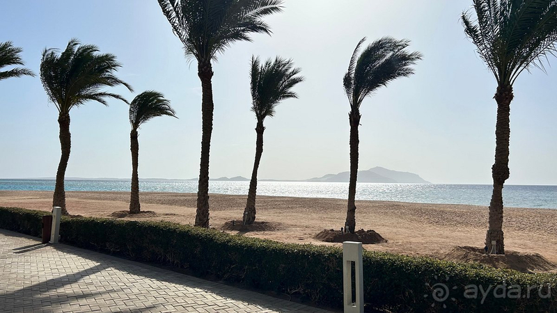 Отличный отдых в Baron Palms апрель 2024