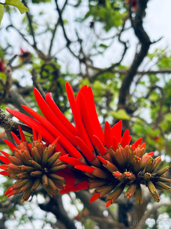 Прекрасный отдых в Шервуд весной!