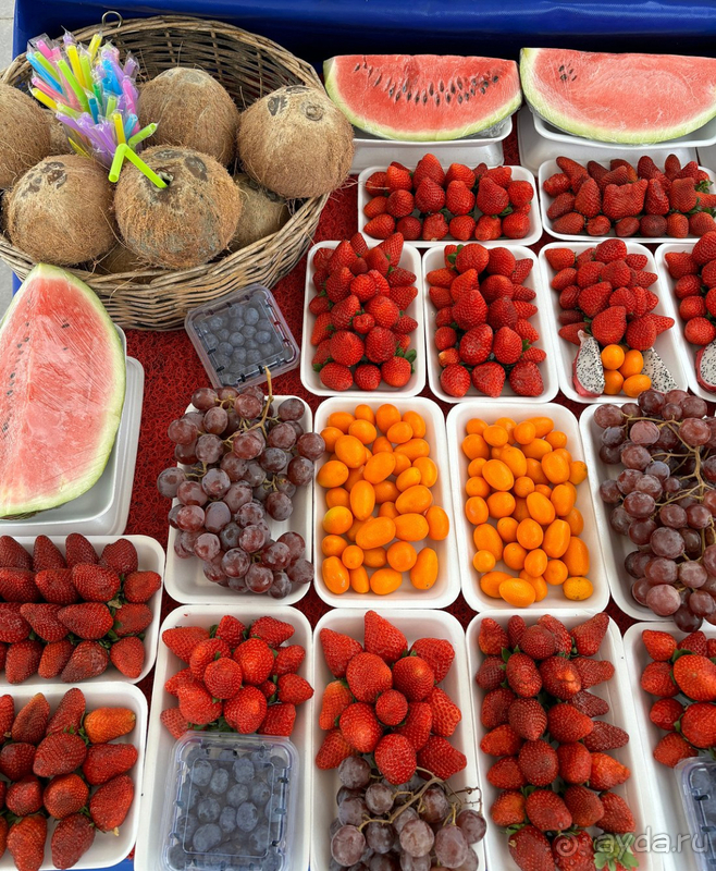 Прекрасный отдых в Шервуд весной!