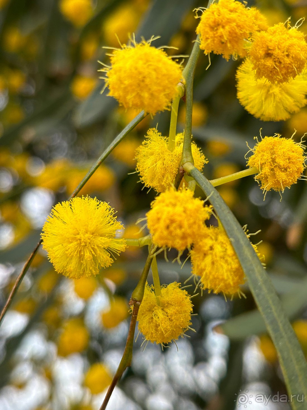 Прекрасный отдых в Шервуд весной!