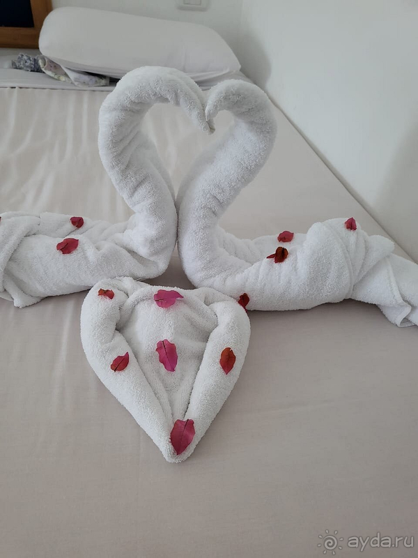 наш любимый семейный отель