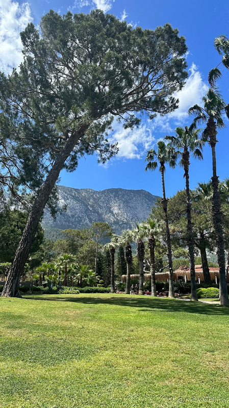 Прекрасное обслуживание, крутой детский клуб и зажигательная вечерняя программа. Прекрасное обслуживание, крутой детский клуб и зажигательная вечерняя программа.