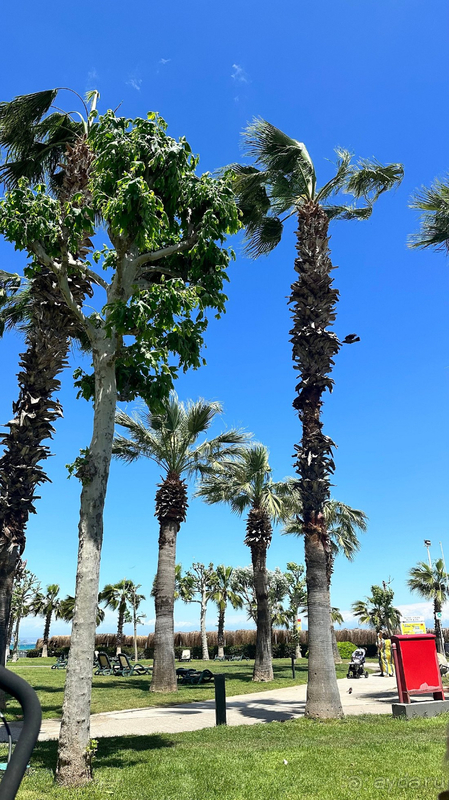 Прекрасное обслуживание, крутой детский клуб и зажигательная вечерняя программа. Прекрасное обслуживание, крутой детский клуб и зажигательная вечерняя программа.