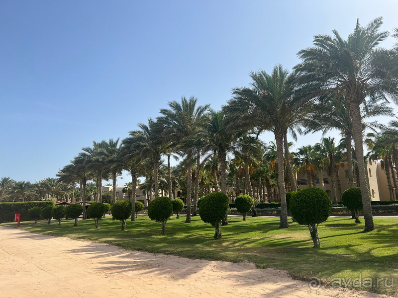 Наш 14дневный спортивный лагерь)))