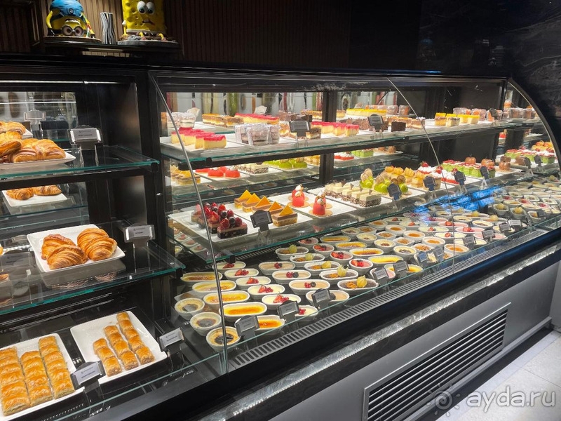 Прекрасные условия для отдыха. Прекрасные условия для отдыха.