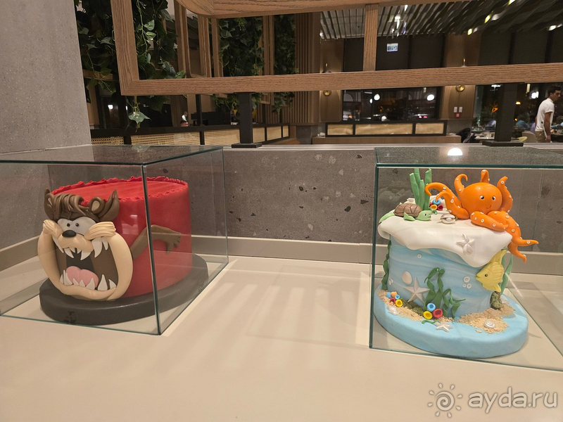 В NG Phaselis Bay отлично все!