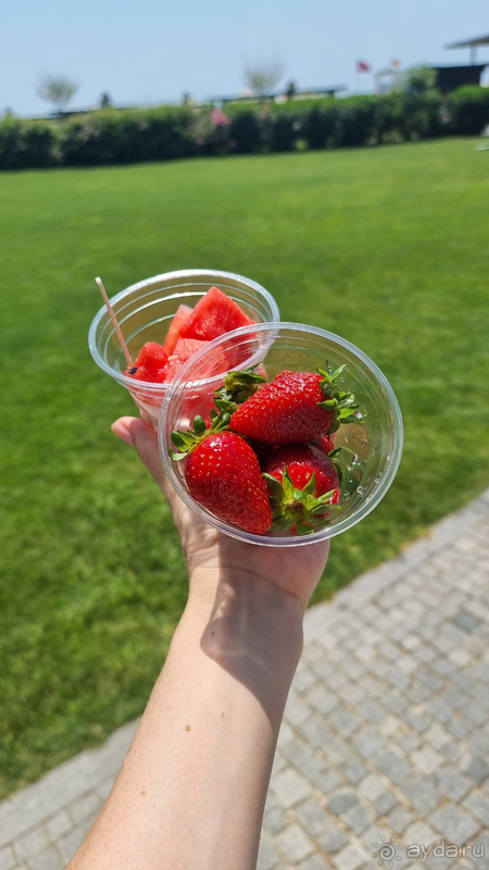 Альбом отзыва "Отличный сервис в незабываемом месте"