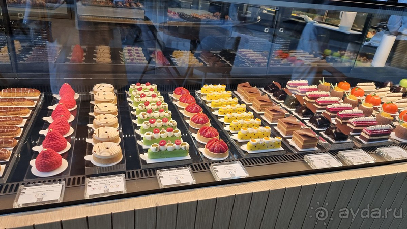 Отличный сервис в незабываемом месте