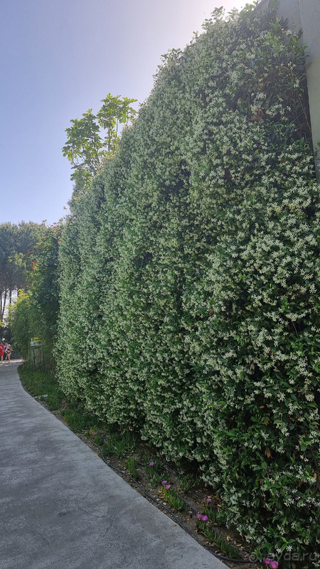 Отличный сервис в незабываемом месте