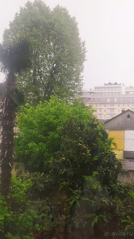 В самом центре