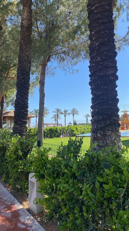 Хороший семейный отель, но должен стоить дешевле .