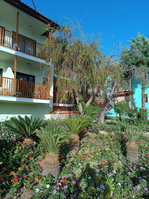 Отель в который хочется вернуться Отель в который хочется вернуться