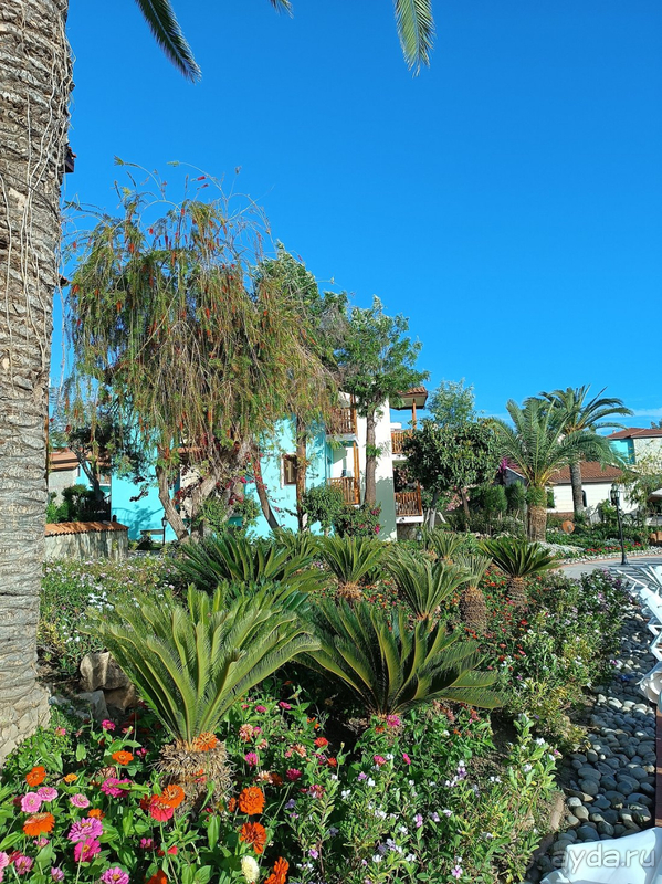 Отель в который хочется вернуться