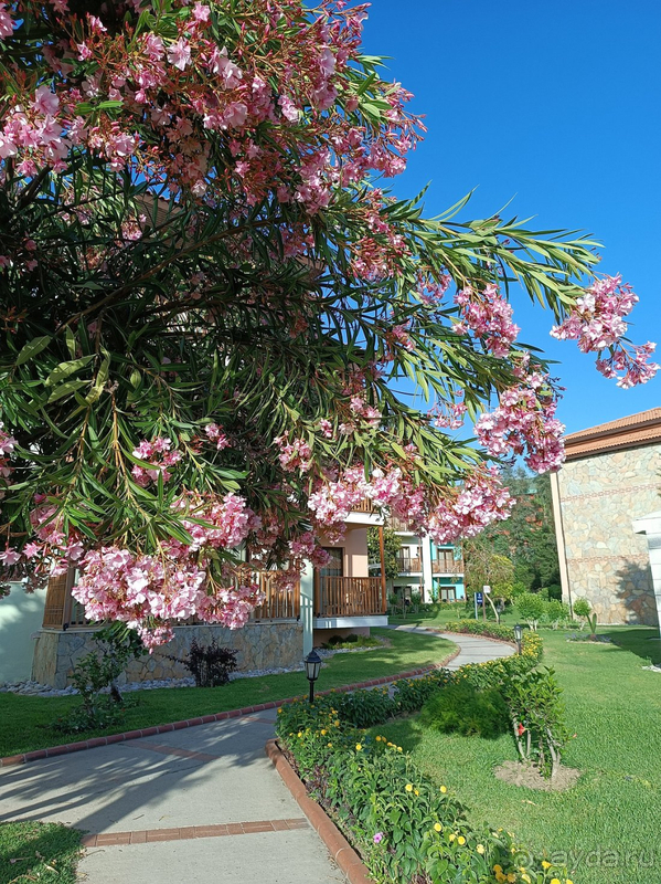 Отель в который хочется вернуться