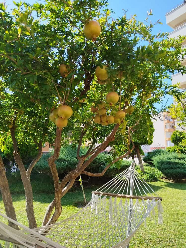 Все отлично Все отлично