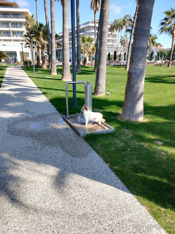 Отдых удался)))!!!!