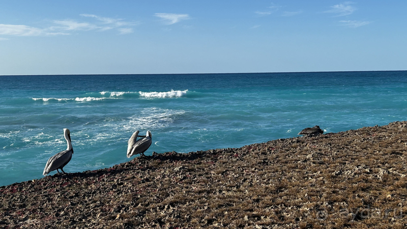 Прекрасная Куба в Playa Vista Azul