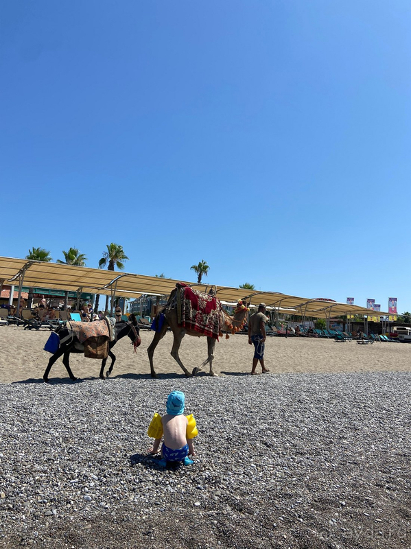 фото Crystal Family Resort & Spa