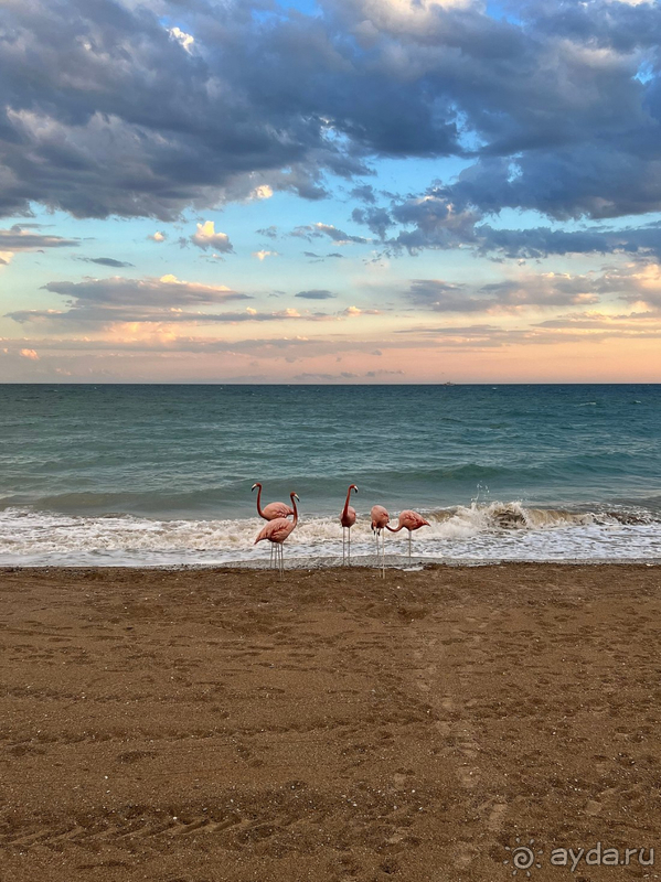 Альбом отзыва "Прекрасный апрельский отпуск в Rixos Premium Belek"